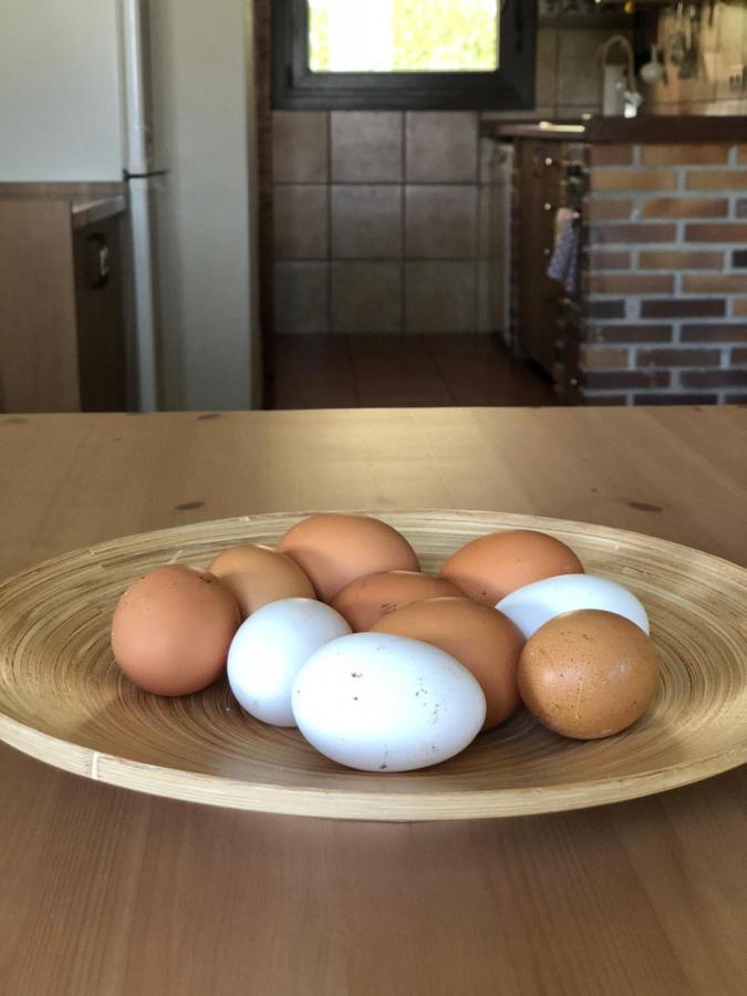 Casa Rural En Plena Naturaleza Lic Uvtr1524 Eguillor Kültér fotó