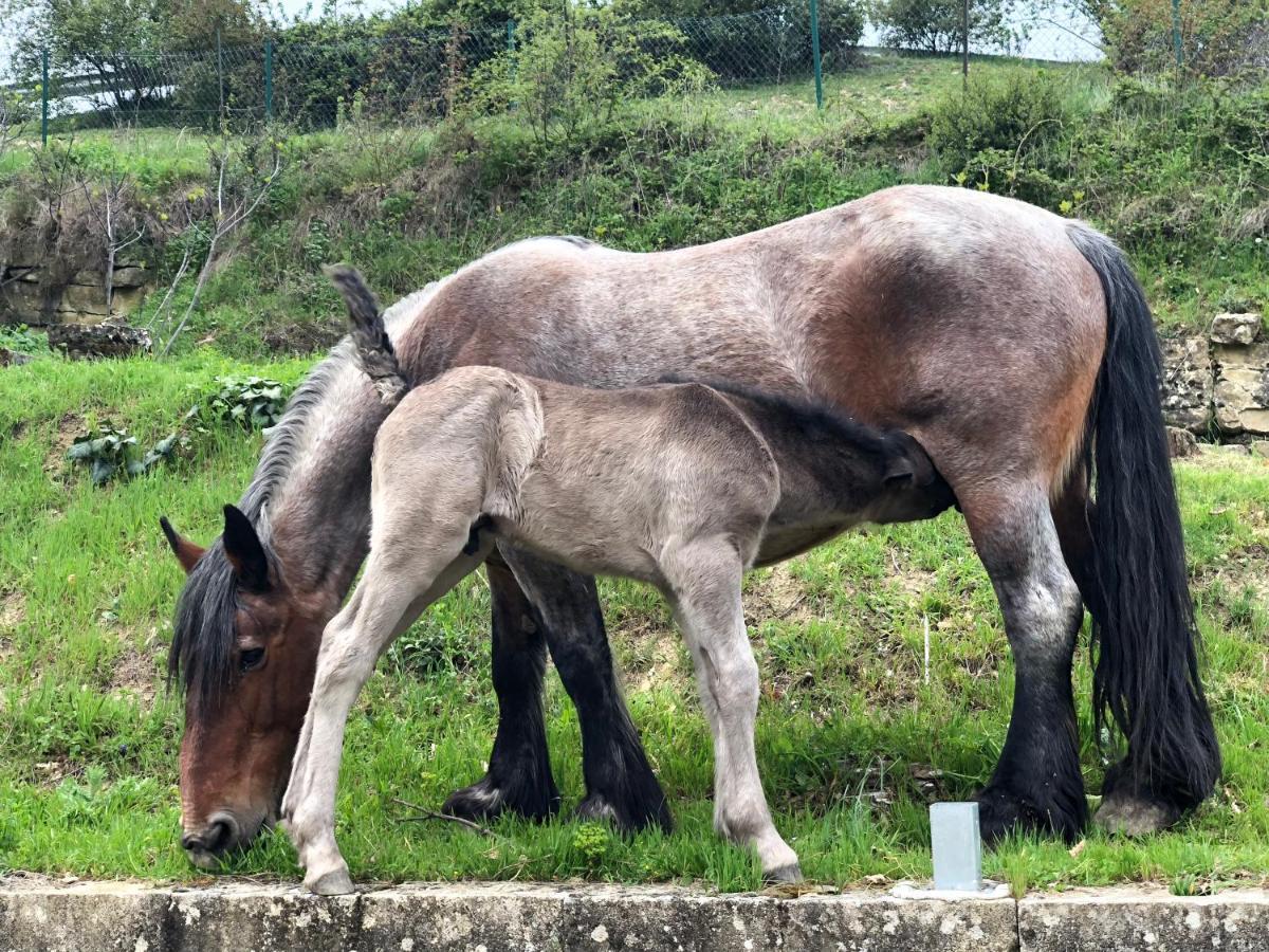 Casa Rural En Plena Naturaleza Lic Uvtr1524 Eguillor Kültér fotó