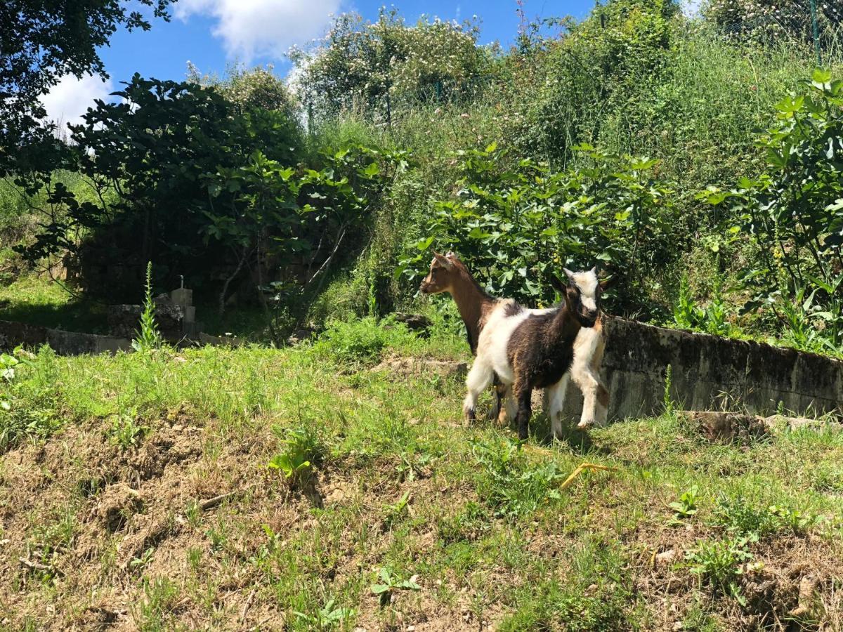 Casa Rural En Plena Naturaleza Lic Uvtr1524 Eguillor Kültér fotó