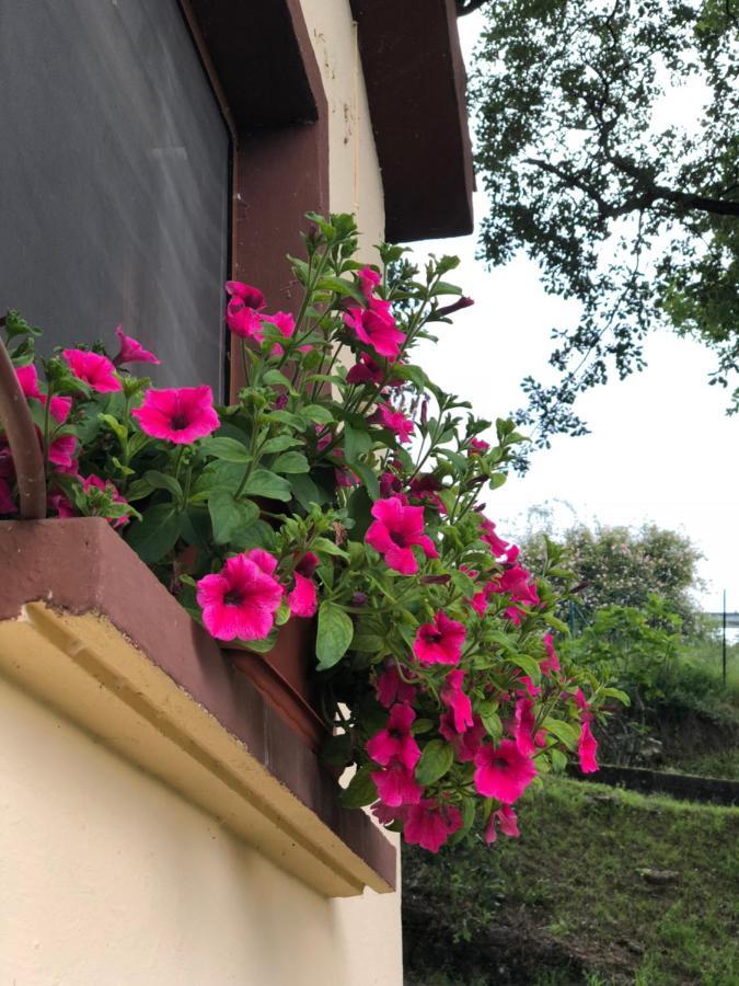 Casa Rural En Plena Naturaleza Lic Uvtr1524 Eguillor Kültér fotó