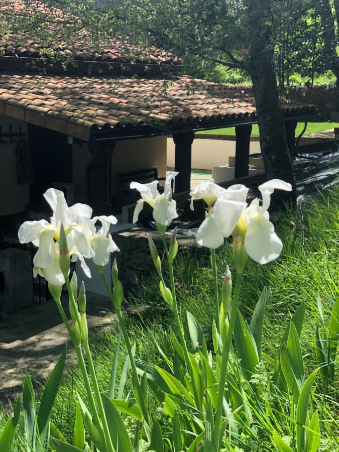 Casa Rural En Plena Naturaleza Lic Uvtr1524 Eguillor Kültér fotó